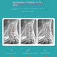 Neck Traction & Massage Pillow