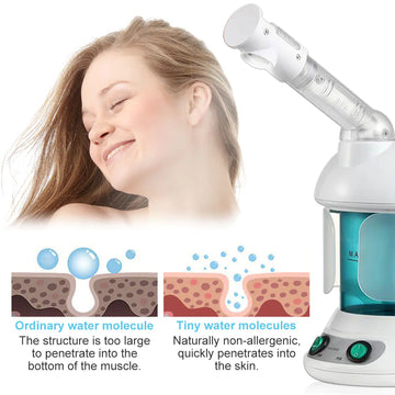 Moisturizing Facial Steamer with Ion